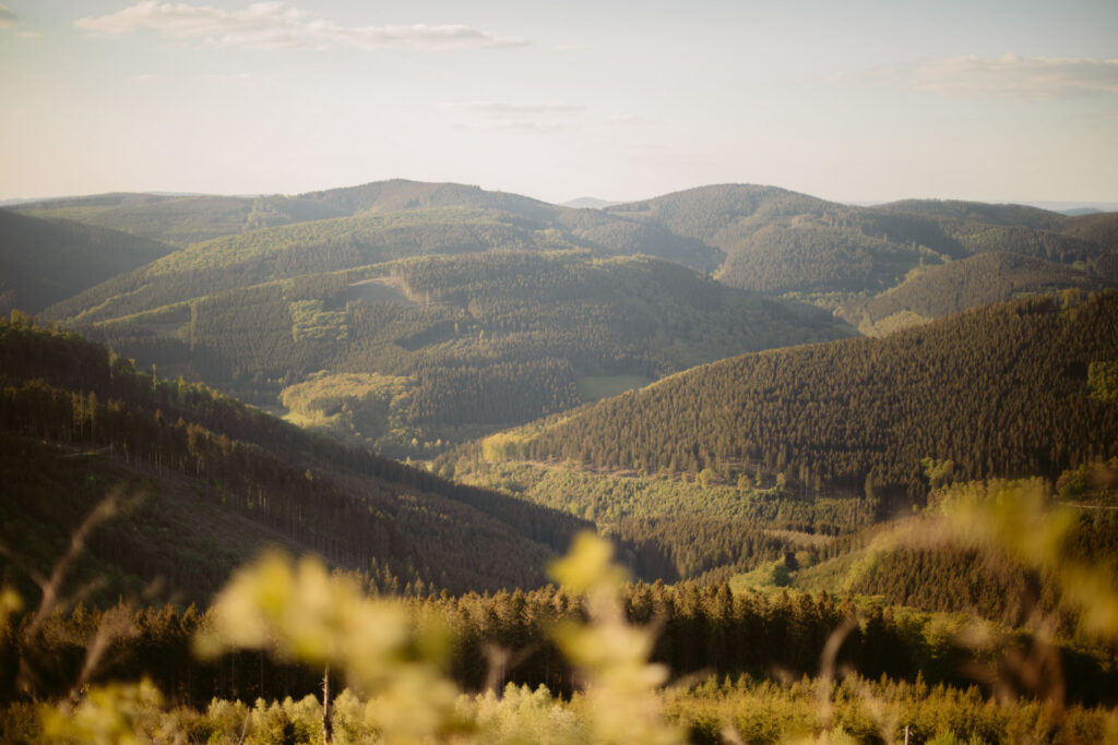 Panorama-Winterberg