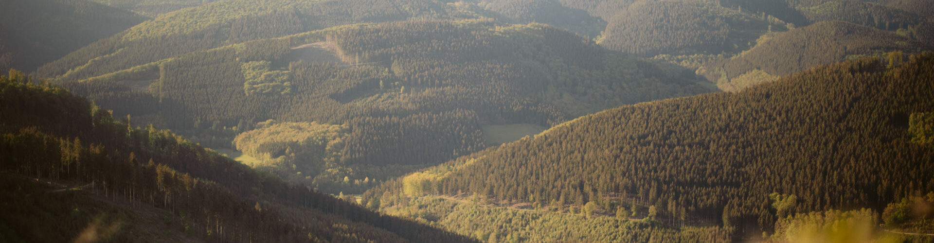Panorama-Winterberg